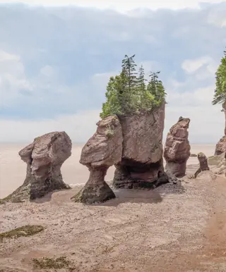 Bestaune die Felsformationen der Hopewell Rocks